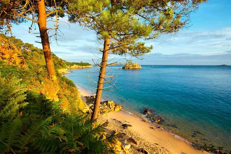 Gite De Charme Entre Terre Et Mer Villa Plougonven Dış mekan fotoğraf